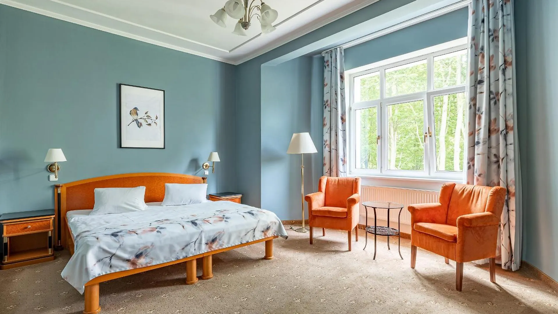 Spa & Wellness Hotel Silva Marianske Lazne 4*,