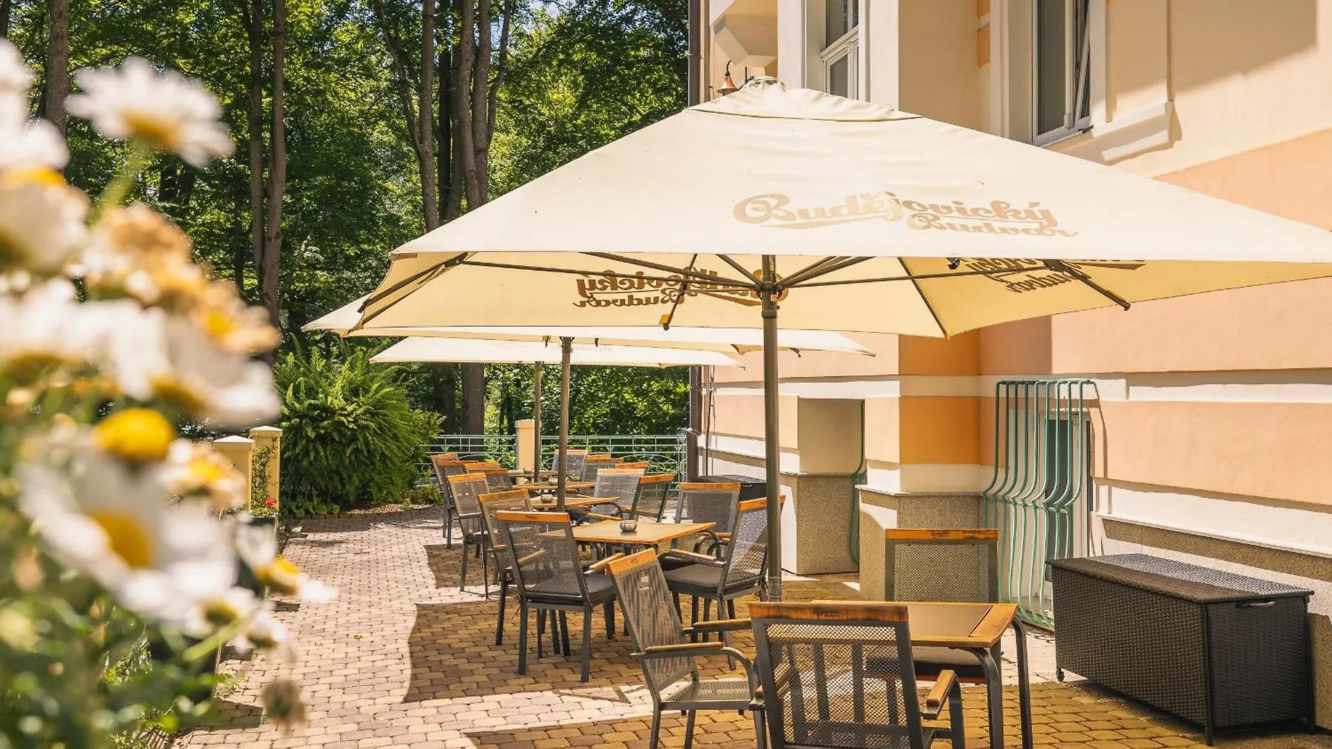 Spa & Wellness Hotel Silva Marianske Lazne